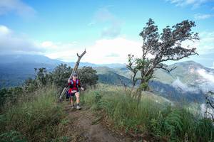 BIB: 
                            <button type="button" onclick="openModal(22371823)" class="btn btn-primary btn-sm float-right btn-popup" data-toggle="modal" data-target=".modal-high-quality">
                        <i class="fas fa-shopping-cart"></i> Add to Cart
                    </button>
                                            <button type="button" onclick="isThisMe(22371823, true)" class="btn btn-success btn-sm float-right btn-popup btn-isme hidden" data-toggle="tooltip" data-placement="bottom" title="นี่คือรูปของคุณใช่ไหม คลิกที่นี่เพื่อเอาเข้าอัลบั้ม">
                        <i class="fas fa-plus"></i> Add to album
                    </button>
                    <button type="button" onclick="isThisMe(22371823, false)" class="btn btn-warning btn-sm float-right btn-popup btn-isnotme hidden">
                        <i class="fas fa-ban"></i> Remove from album
                    </button>